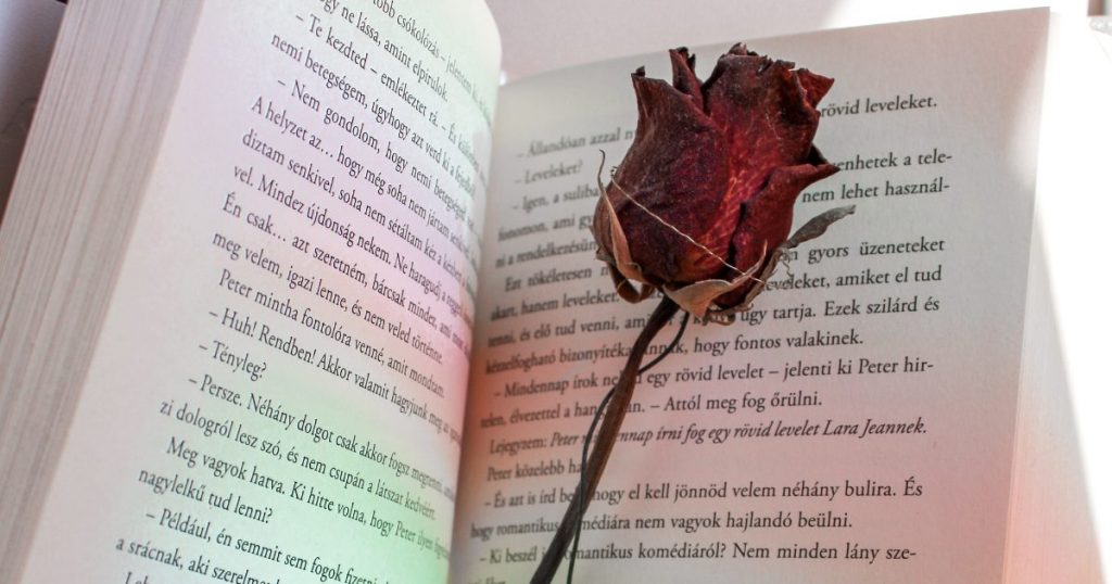 本と薔薇の写真