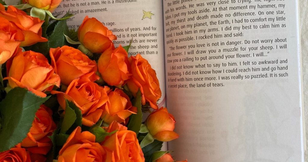 本とオレンジの薔薇